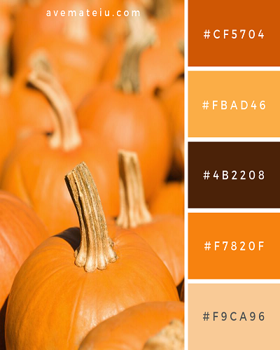 Fall color orange hues