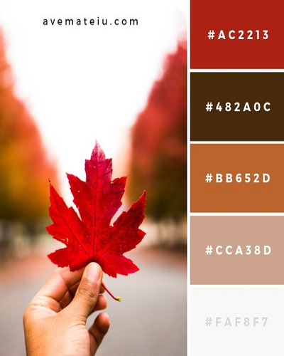 fall color pallette reds