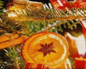 Orange Slices Ornaments