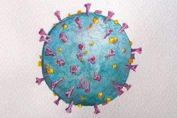Coronavirus COVID-19 image