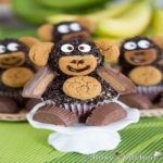 Nutella Peanut Butter Monkey Cupcakes